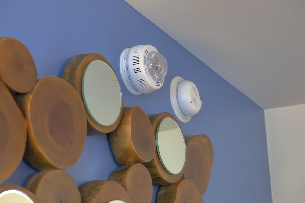 Paradise Point Resort & Spa - photo 5