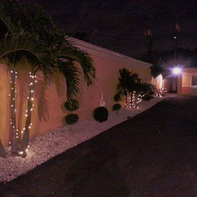 Belvedere Inn - photo 7
