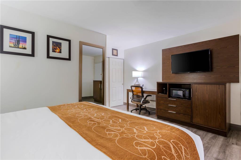Comfort Suites Tucson near Sabino Canyon - photo 11