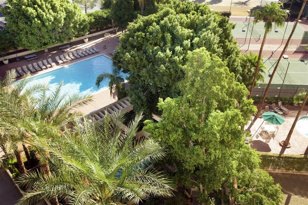 Sheraton Crescent Hotel - photo 34