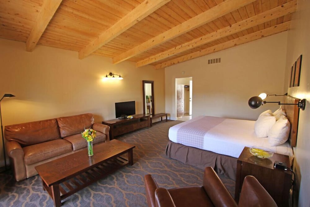 Mount Princeton Hot Springs Resort - photo 11