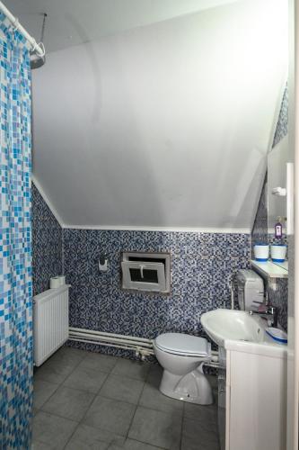 Casa Cupcea — Budesti — photo 4
