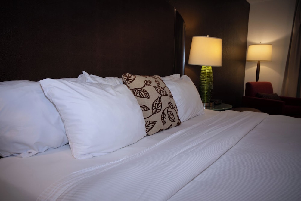 Alliance Hotel & Suites a Howard Johnson by Wyndham - photo 10