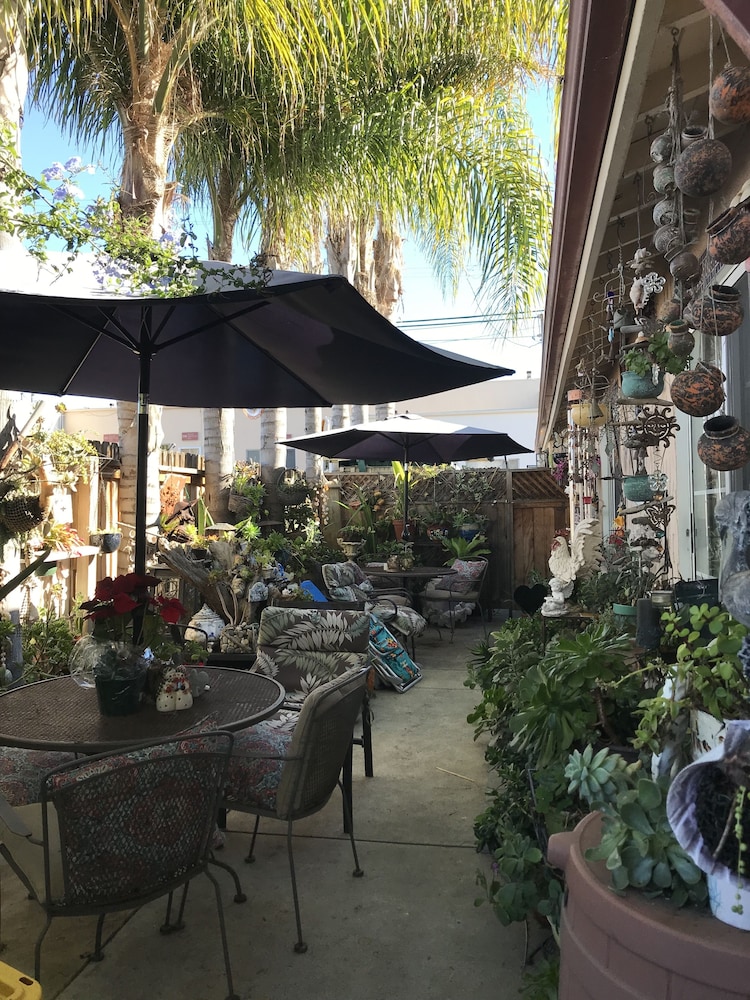 Always Inn San Clemente Bed & Breakfast - photo 63