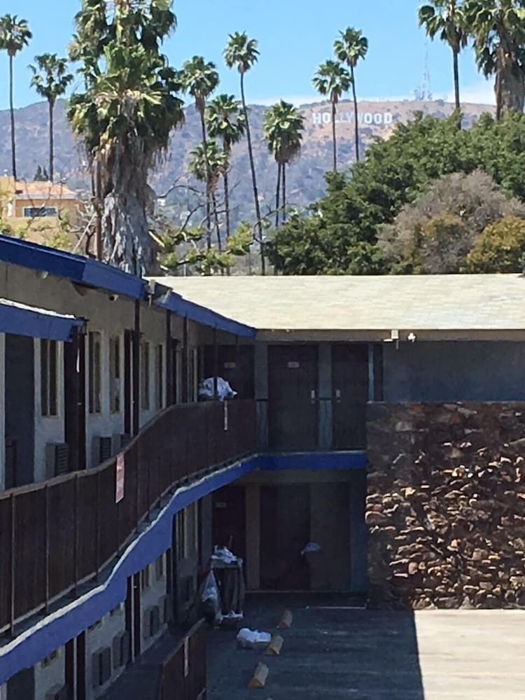 Hollywood Palms Inn and Suites - photo 76