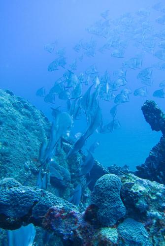 Pousada Da Praia in Maragogi, Brasil