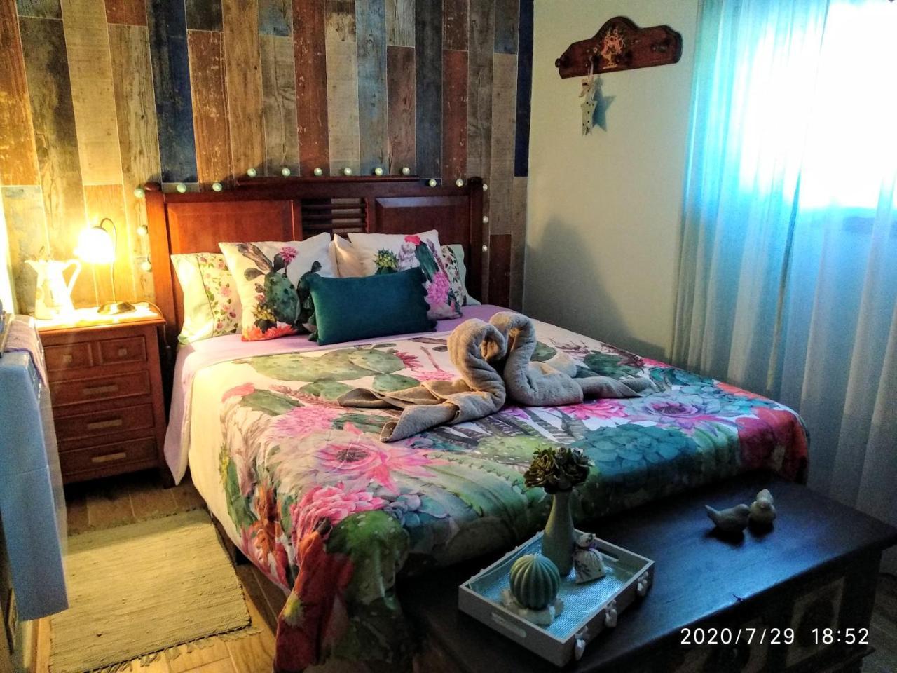Ca Bellavista — Vega De San Mateo — photo 3