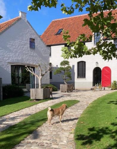 English Bob - last minute hotel in Bierbeek