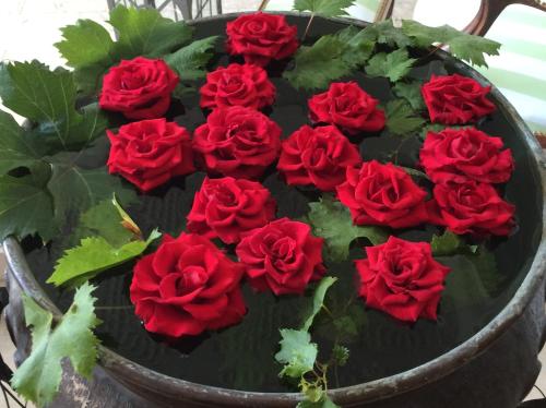 Eveline 2 Piscina Privata o Jacuzzi in San Remo, Italy