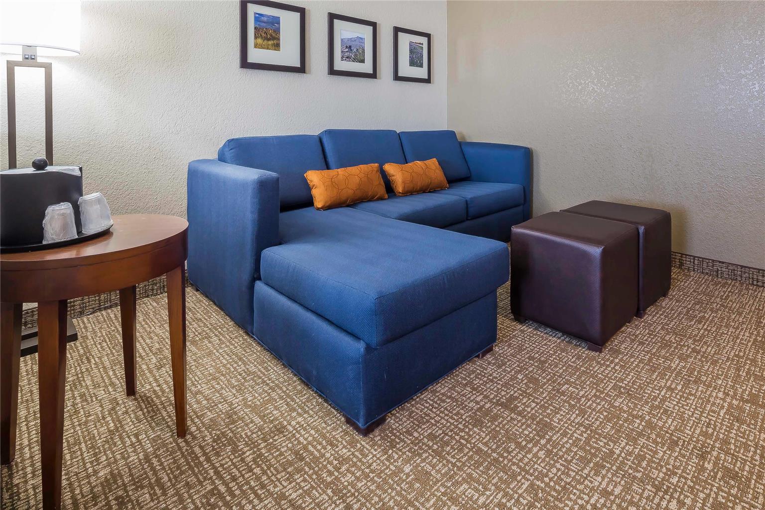 Comfort Suites El Paso Airport - photo 8