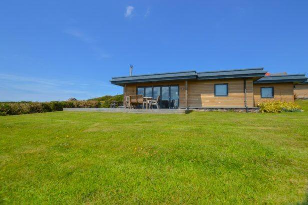 Stargazy in Falmouth, United Kingdom