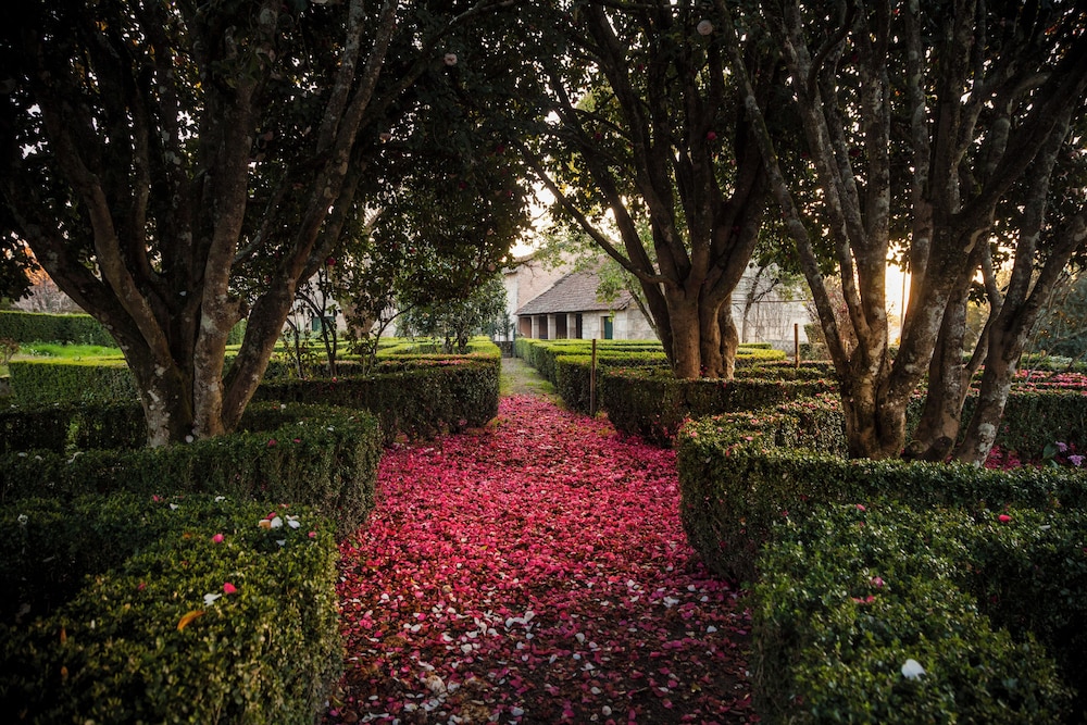 Solar de Vilar Seco — 4-Star Luxury Hotel in Nelas, Portugal