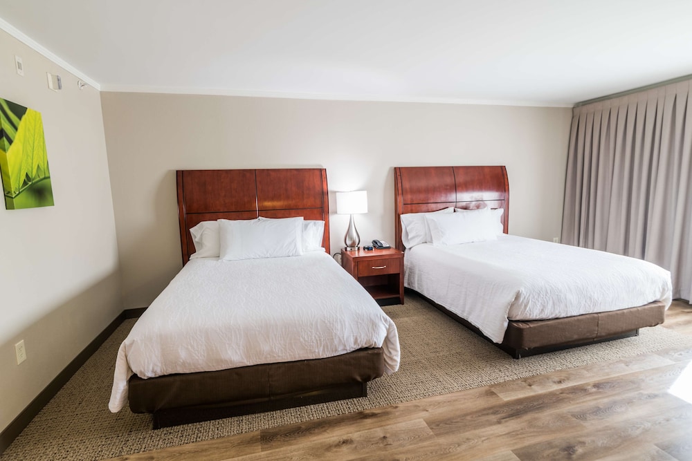 Hilton Garden Inn Bowling Green - photo 13