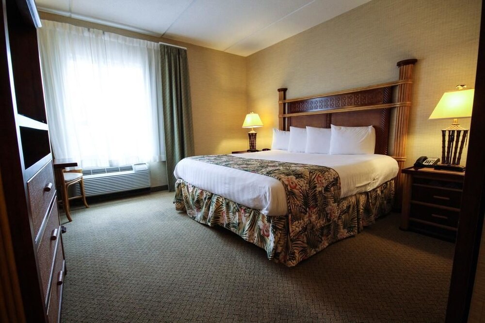 Maui Sands Resort & Indoor Waterpark - photo 18
