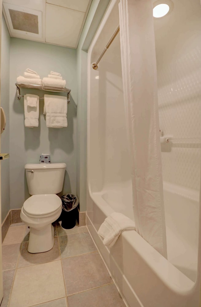 Senator Inn & Spa - photo 73