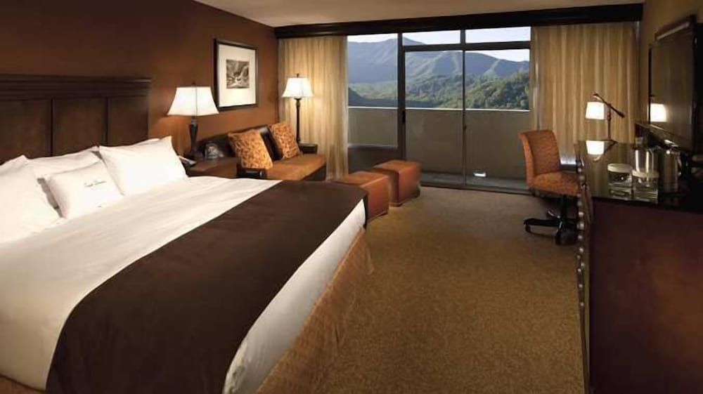 The Park Vista a DoubleTree by Hilton Hotel Gatlinburg - photo 4