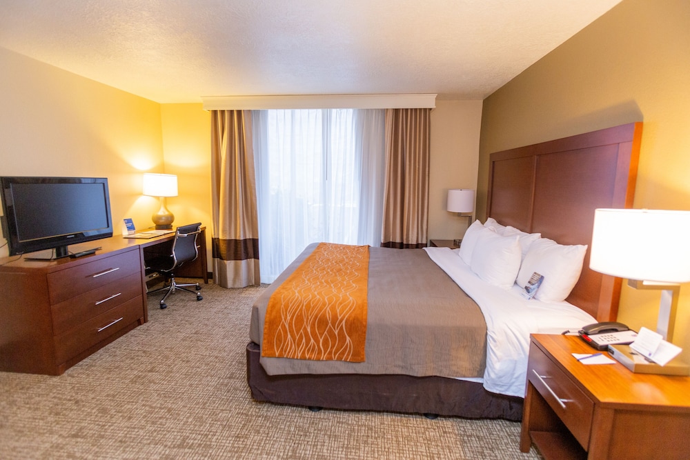 Comfort Inn Salt Lake City Downtown - photo 8