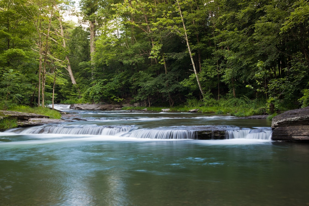 The Woodstock Inn on the Millstream - photo 60