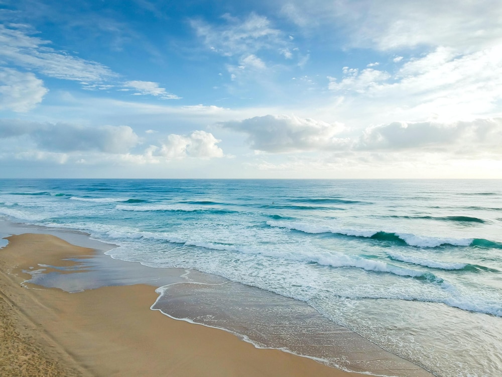 Tropic Breezes - photo 11