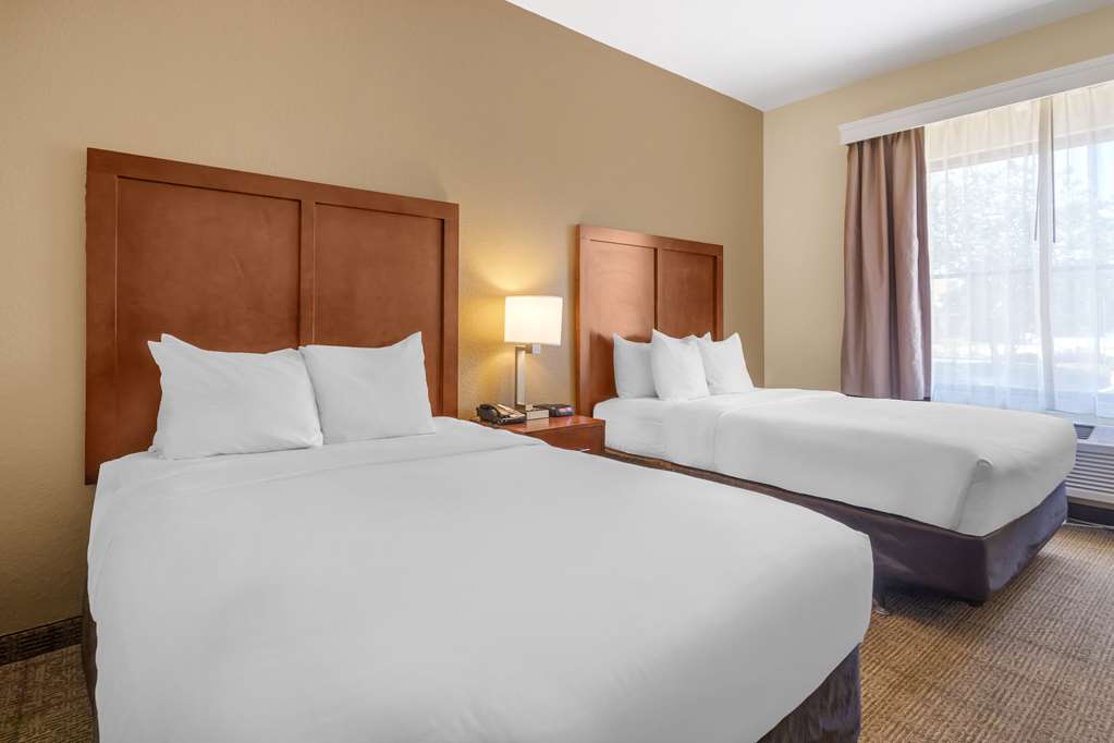 Comfort Inn & Suites Northeast Gateway - photo 8