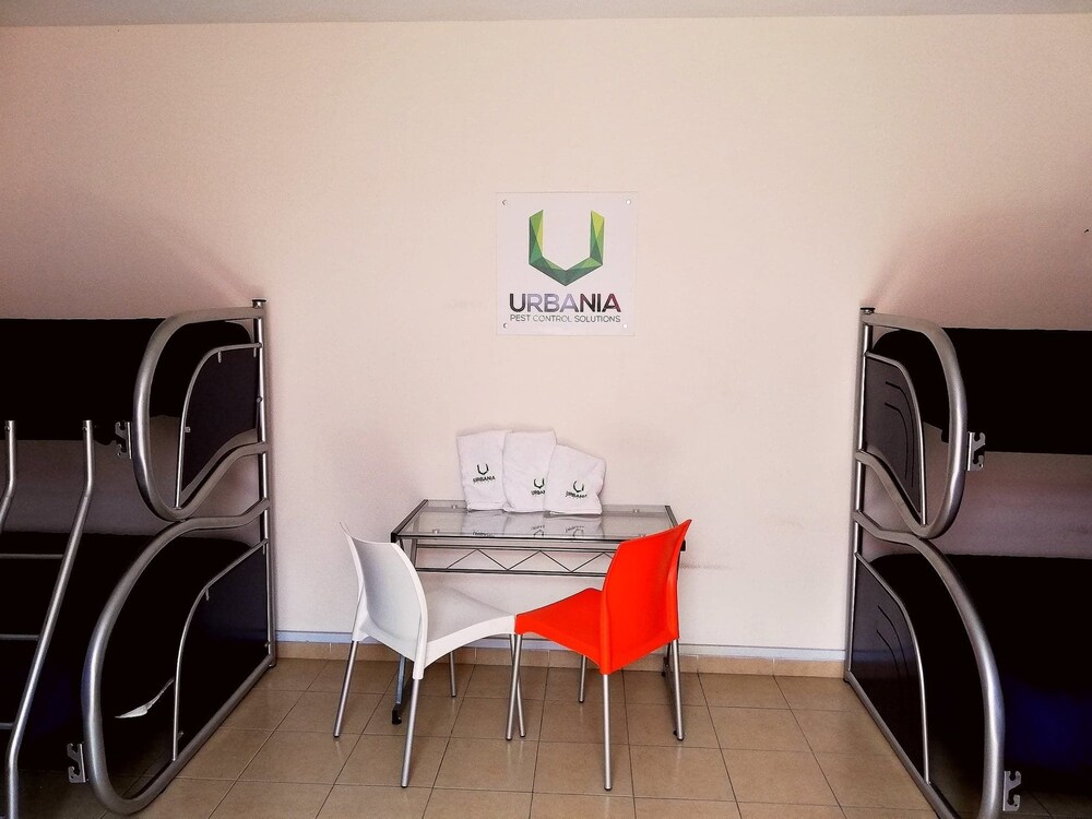 Urbania Hostels — Puebla — photo 4