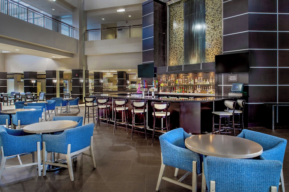 Embassy Suites by Hilton St. Louis Airport - photo 41