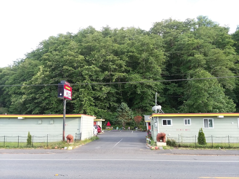 Shiny Motel - photo 29