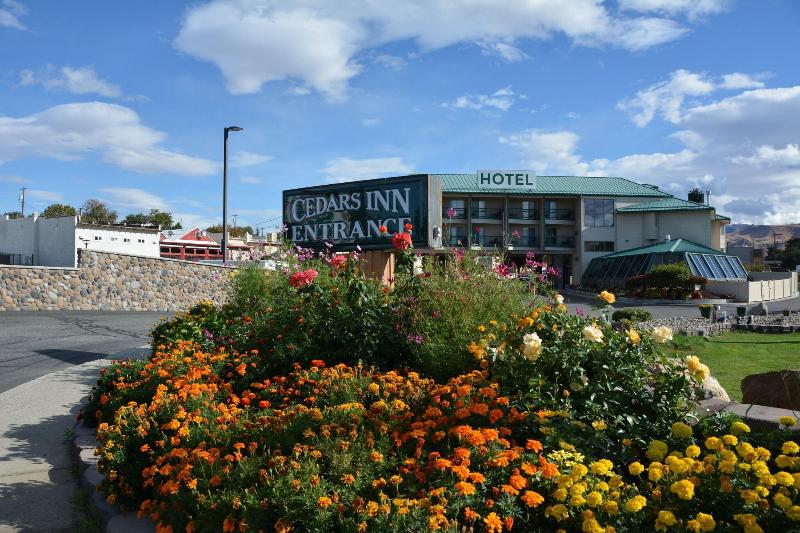 Cedars Inn - photo 8