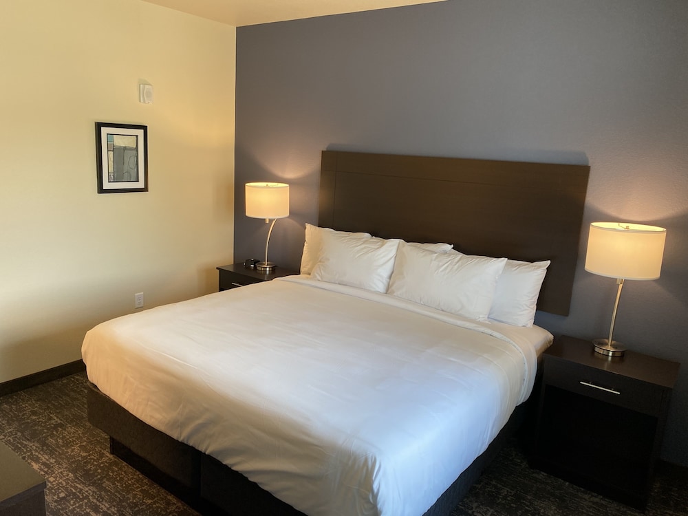 Cobblestone Inn & Suites Forest City - photo 13