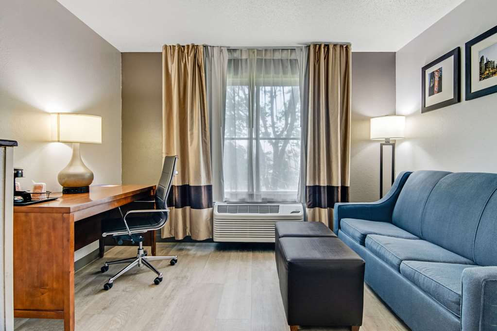 Comfort Suites near I 80 and I 94 - photo 26