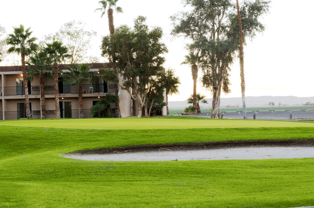 Barbara Worth Country Club - photo 7