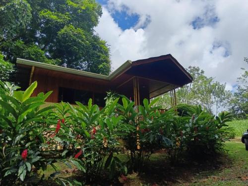 Gambas Lodge — 4-Star Luxury Hotel in Fortuna, Costa Rica
