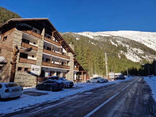 Conacul Ursului in Arefu, Romania