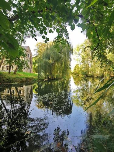 Authentique Moulin a Eau du E Siecle - carbon neutral hotel in Unknown City