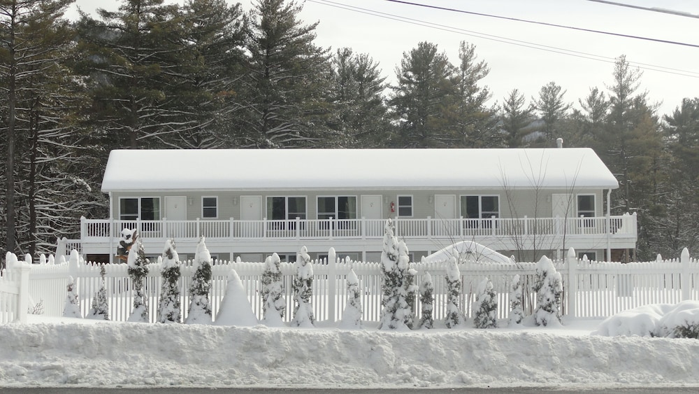 Studio Motel - photo 75