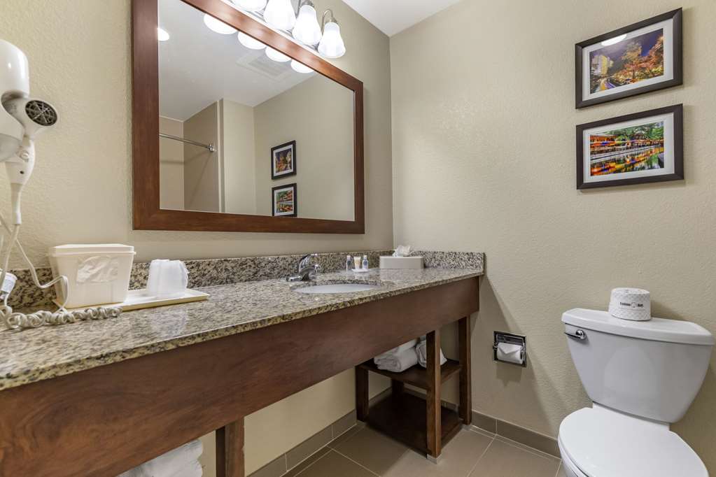 Comfort Suites Medical Center near Six Flags - photo 23