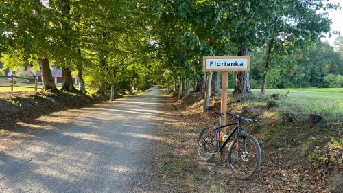 Domy na Roztoczu Aleja Lipowa Dom F in Zwierzyniec, Poland