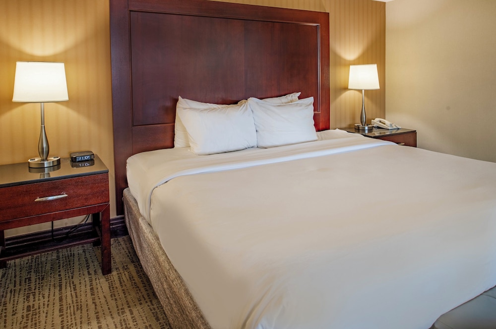 Crowne Plaza St. Louis Airport by IHG - photo 107