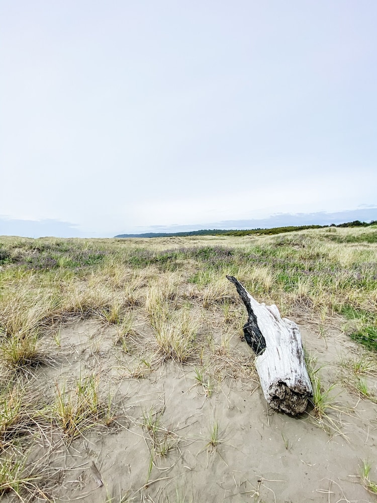 Pacific Dunes Resort - photo 68