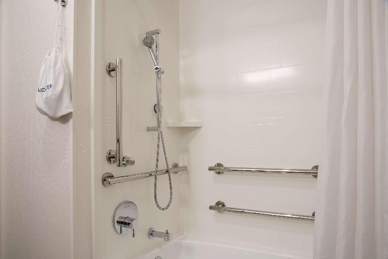 Hampton Inn & Suites East Lansing Okemos - photo 94