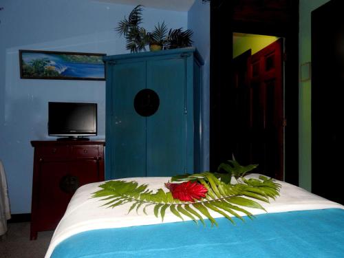 Kalani Hawaii Private Lodging - photo 50