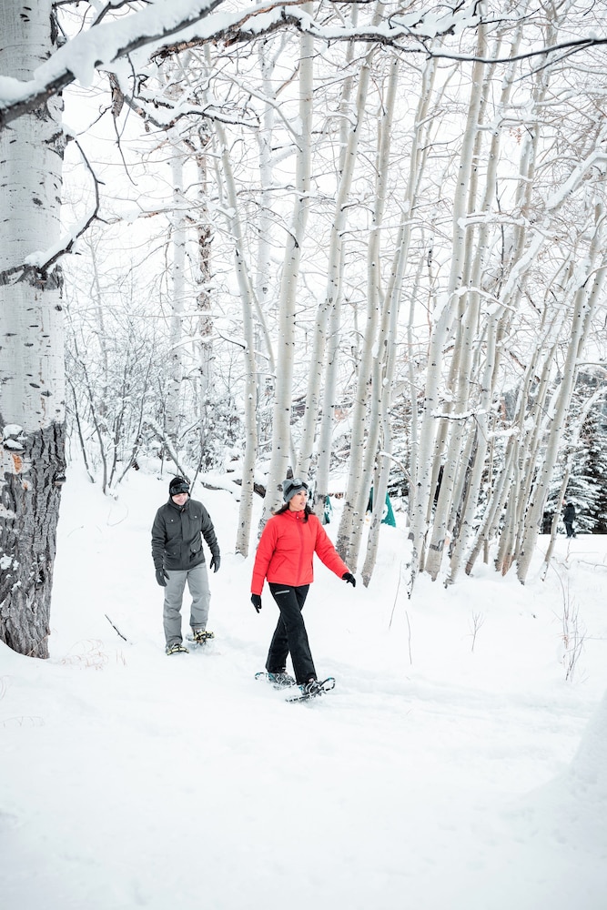 The Ritz Carlton Bachelor Gulch - photo 79