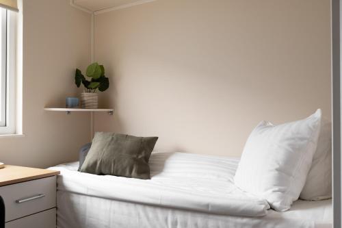 Smart Hotels - carbon neutral hotel in Unknown City