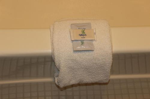 Woodlands Inn & Suites - photo 4