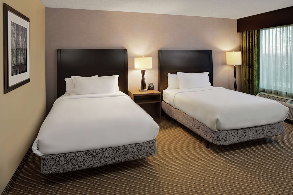 Hilton Garden Inn Hartford North Bradley International Airport - photo 9