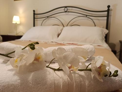 Lulu Apartment — 4-Star Luxury Hotel in Pescara, Italy