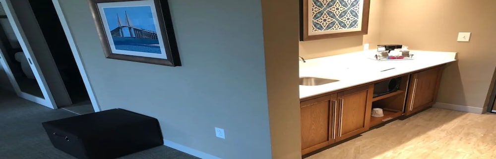 Hampton Inn & Suites Tampa Busch Gardens Area - photo 46