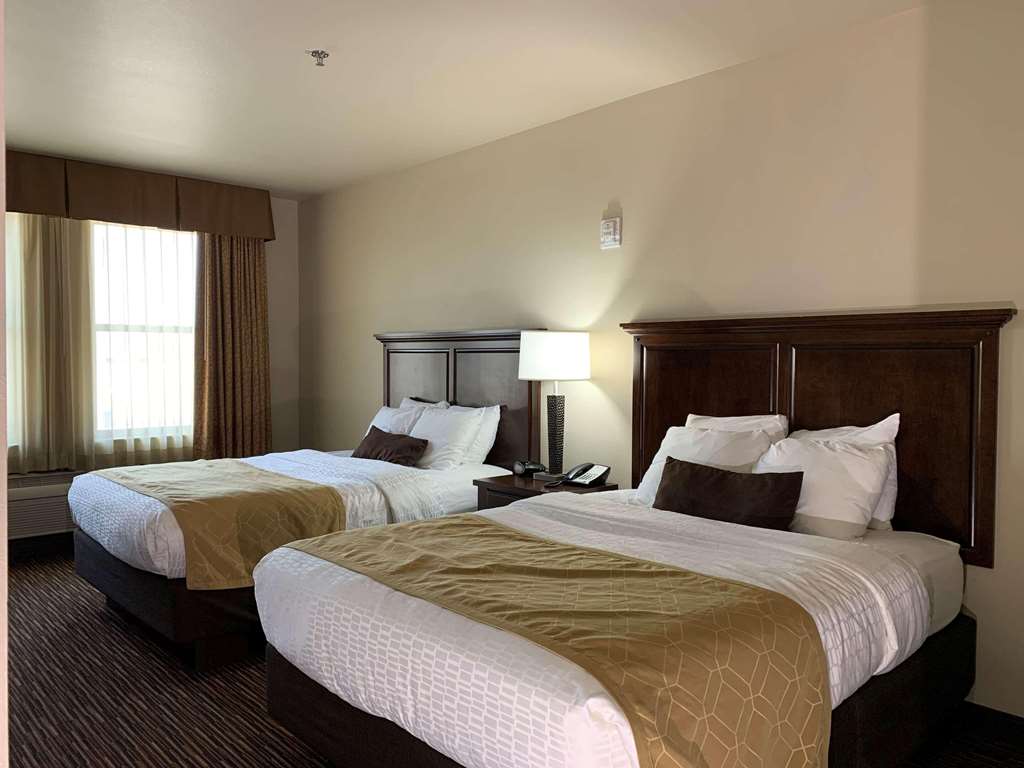 Radisson Hotel River Falls - photo 4