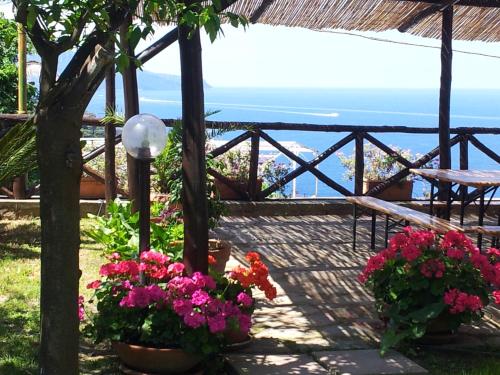 Tessa’s Holiday in Massa Lubrense, Italy