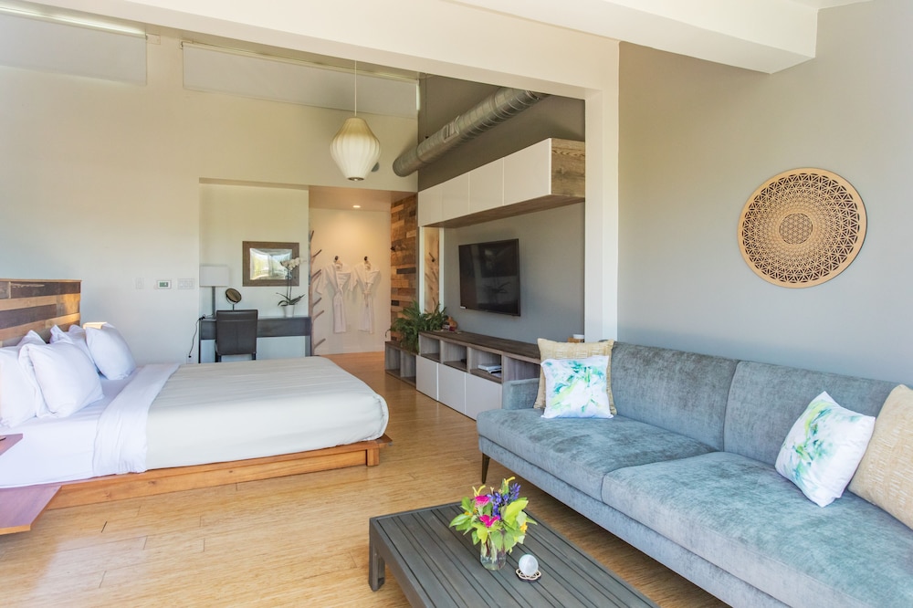 Inn at Moonlight Beach - photo 37